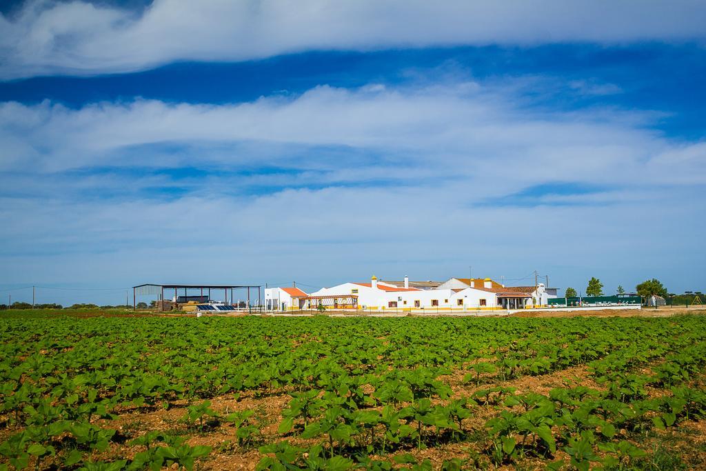 Agro-Turismo Do Roxo Vendégház Ervidel Kültér fotó